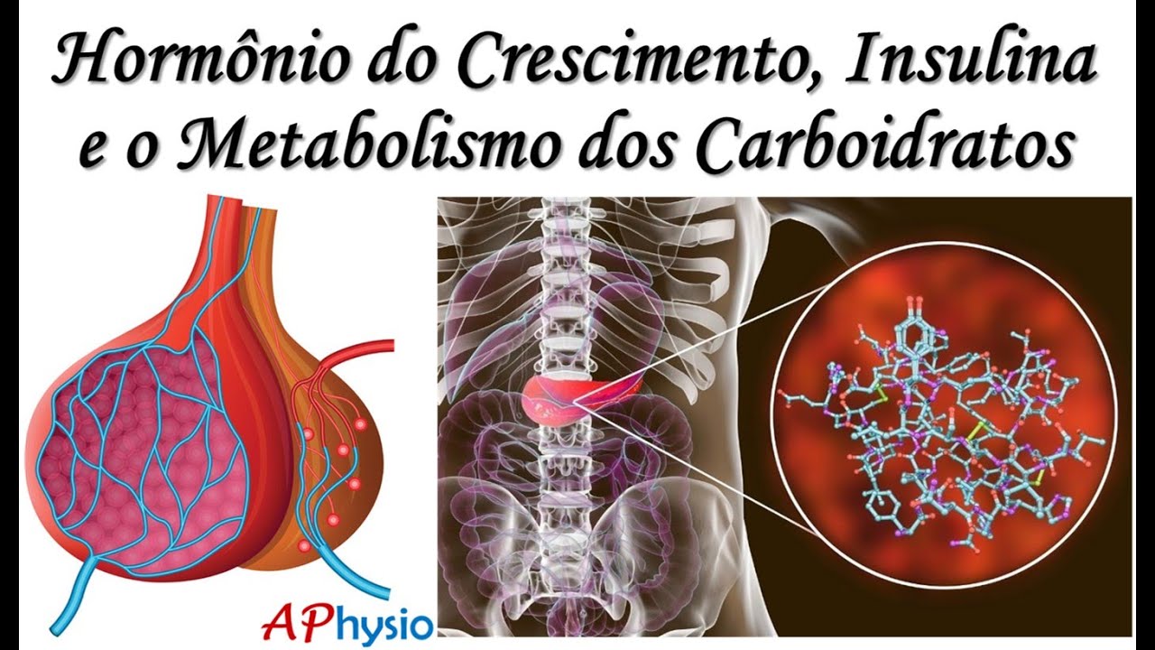 GH, Insulina e o Metabolismo dos Carboidratos