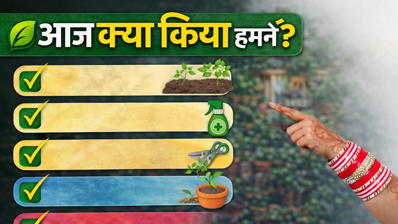 आज गार्डन में क्या क्या कम होने वाले हैं#फरवरी में करने वाले काम#Garden update#गार्डनिंग