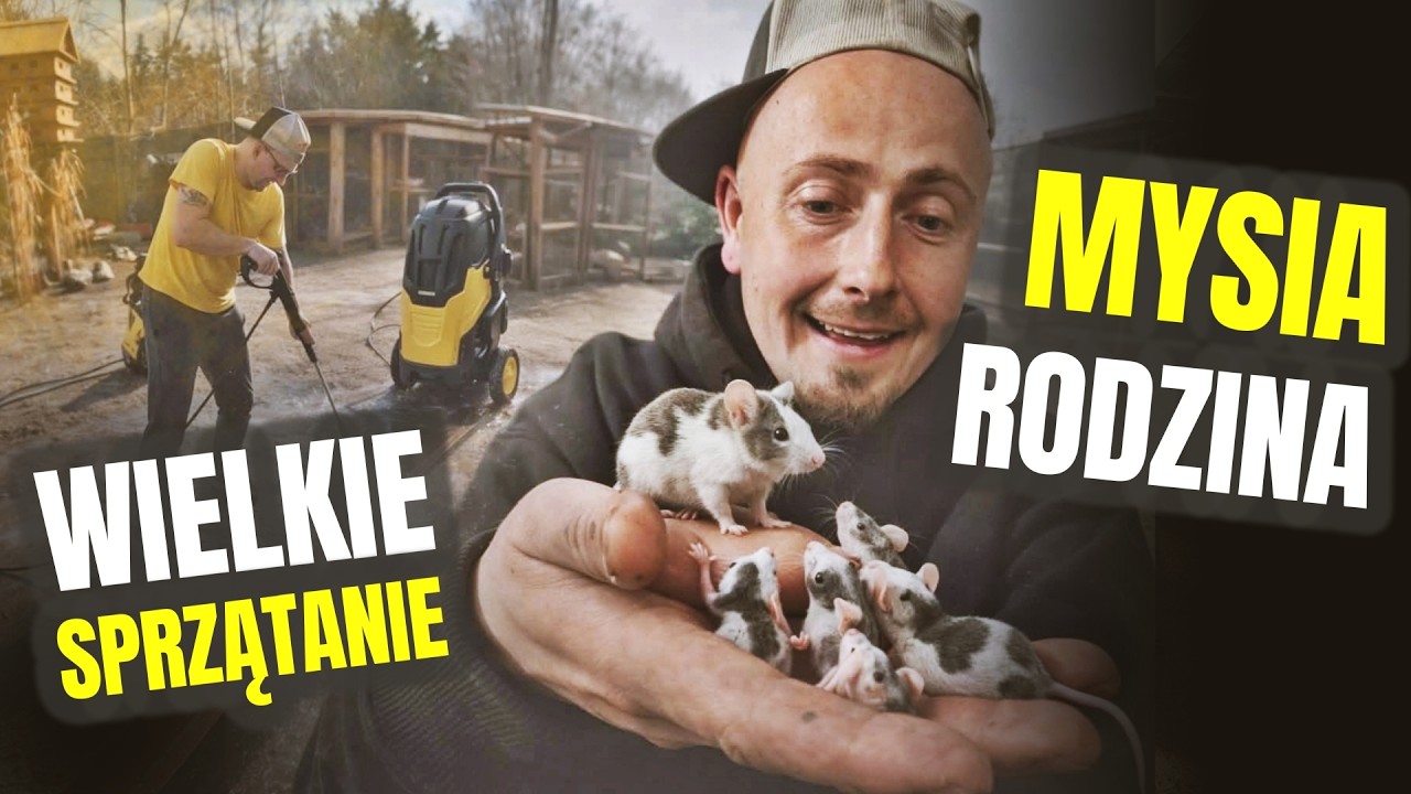 KONKRETNA ROBOTA !  mysia rodzina, modliszka i kuchenne rewolucje 🐁 odc. 859