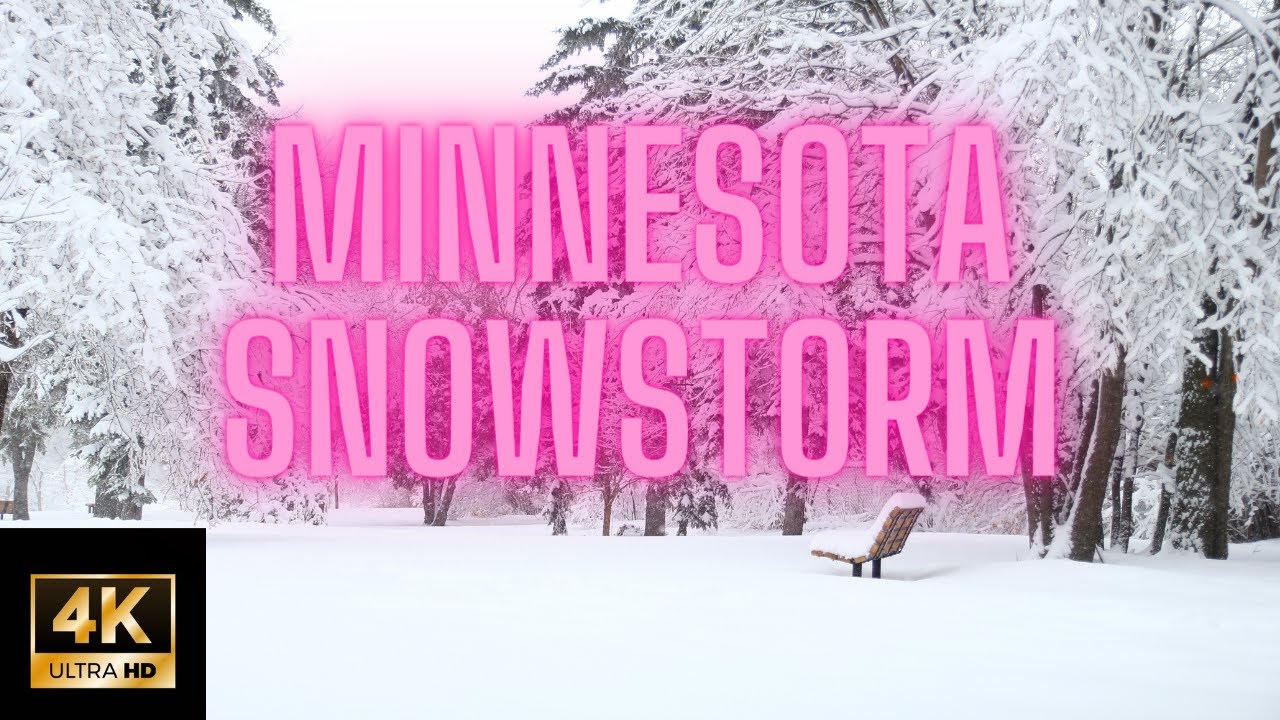 4K Virtual Winter Walk, Walking in a Snow Storm Minnesota Feb 23,2022