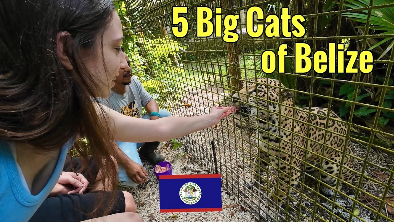 Belize Zoo and Tropical Education Center