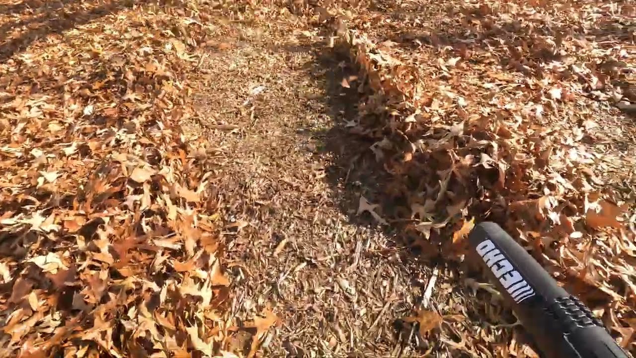 Small Yard with TONS of LEAVES 🍂 🍁 