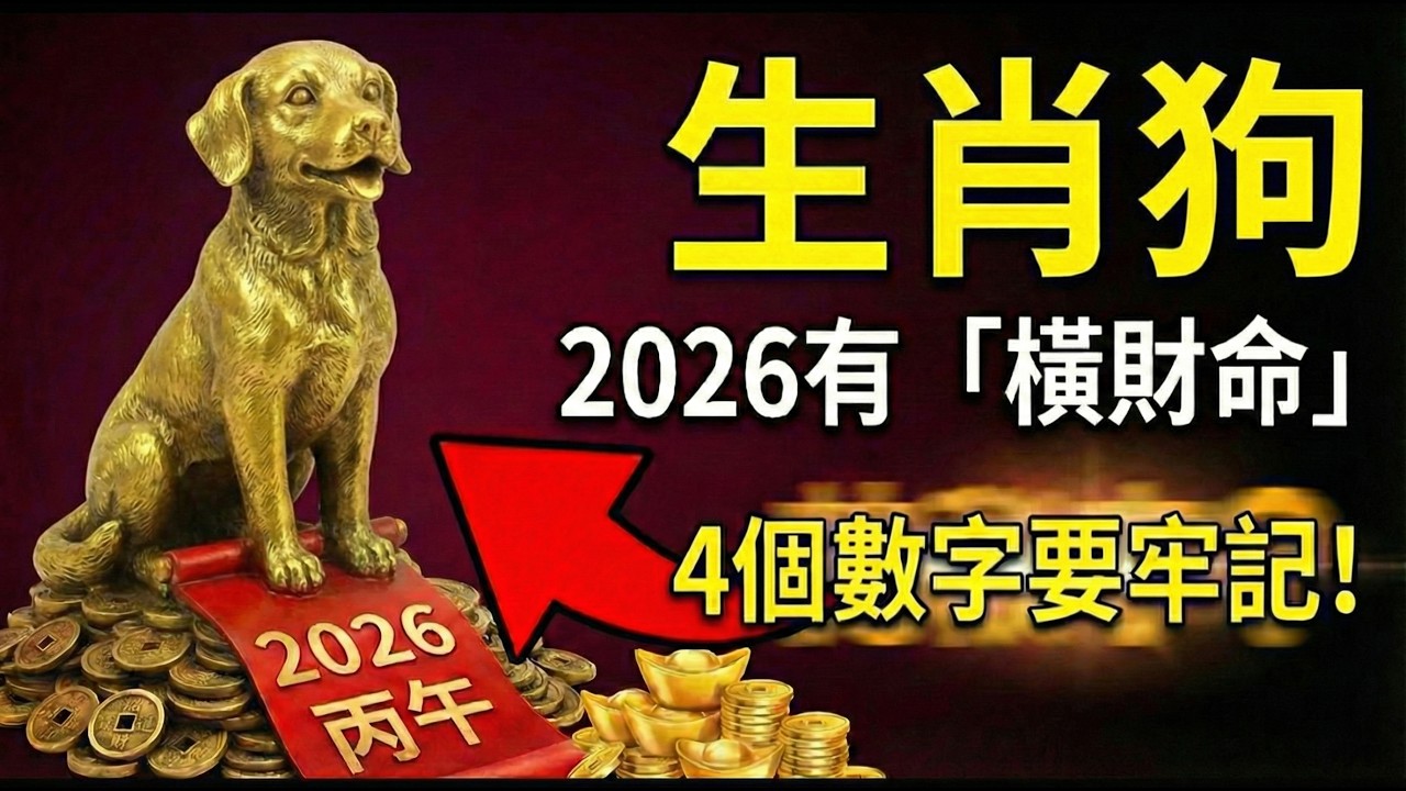 生肖狗注意！2026年丙午馬年！偏財星降臨，記住這4個數字，迎接你的橫財驚喜！#2026屬狗運勢 #生肖狗2026運勢 #偏財 #橫財 #2026馬年 #招財數字 #財運 #屬狗 #生肖狗 #幸運數字