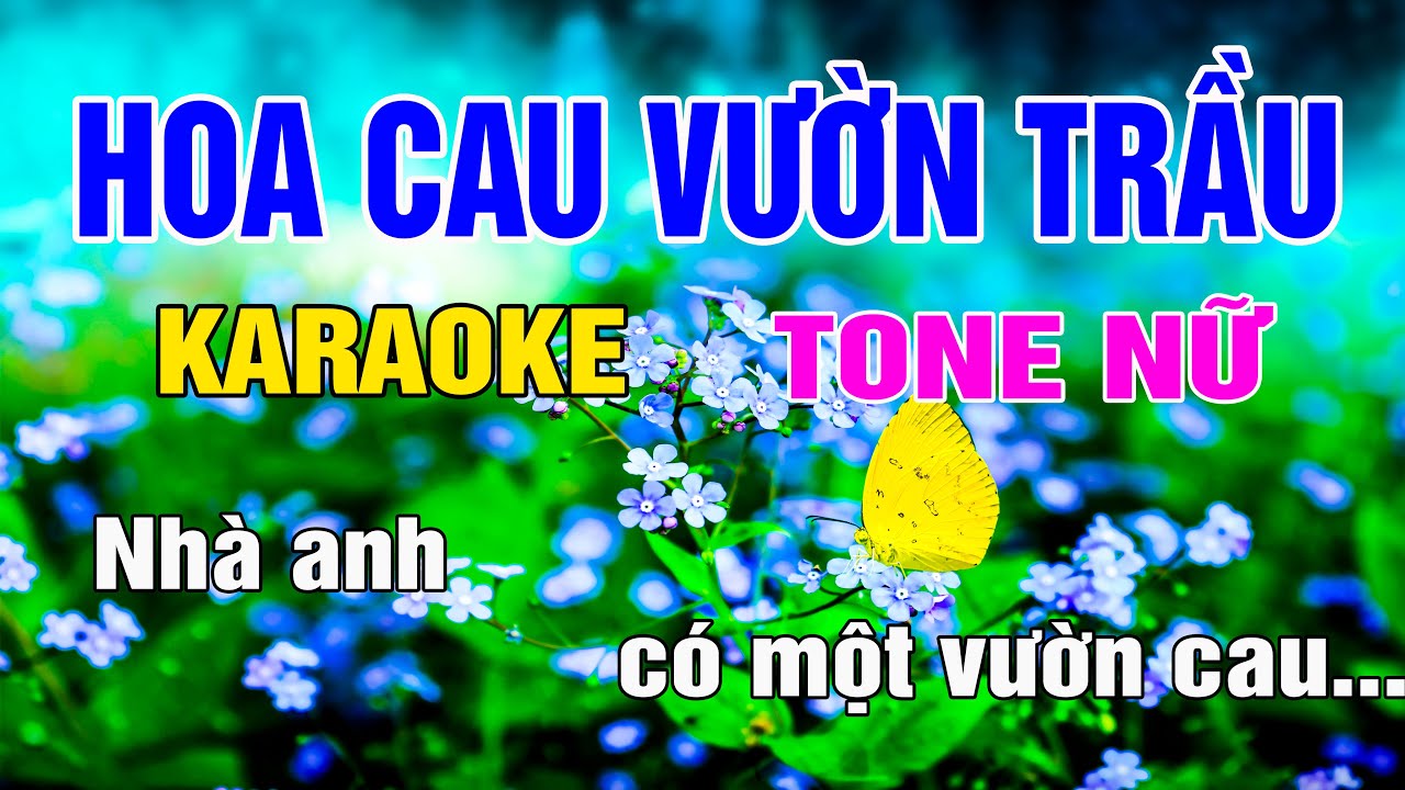 Hoa Cau Vườn Trầu Karaoke Tone Nữ Nhạc Sống gia huy karaoke