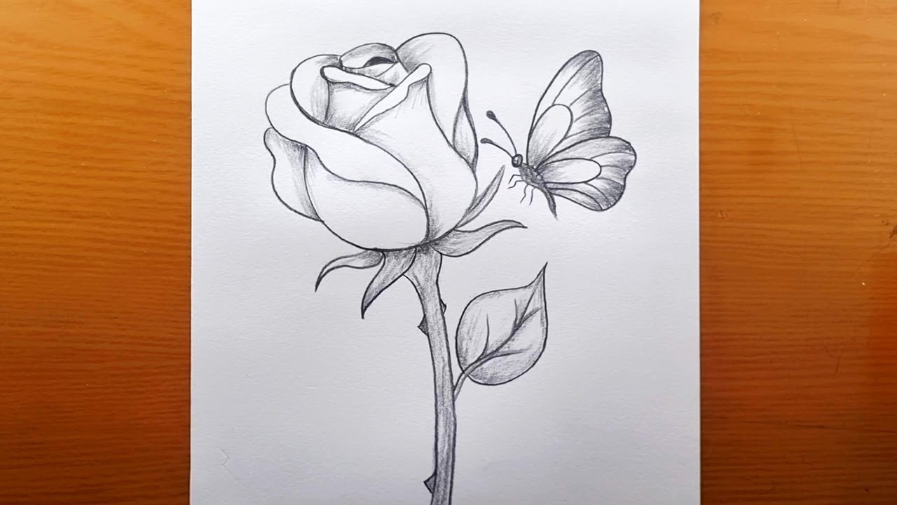 Desenho de Rosa Fácil 🌹 Como Desenhar uma Borboleta em uma Flor Passo a Passo | Esboço Simples
