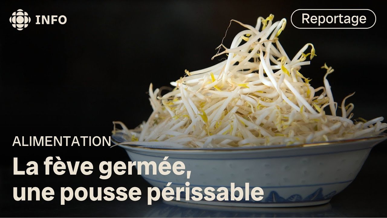 La délicate culture des fèves germées | L'épicerie