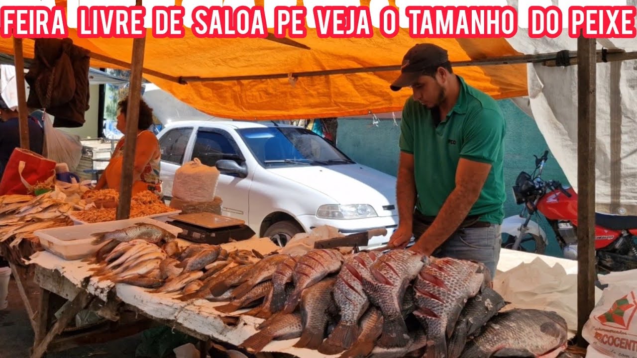 Feira livre de saloa Pernambuco com muita fartura verduras carnes peixe e muito mais