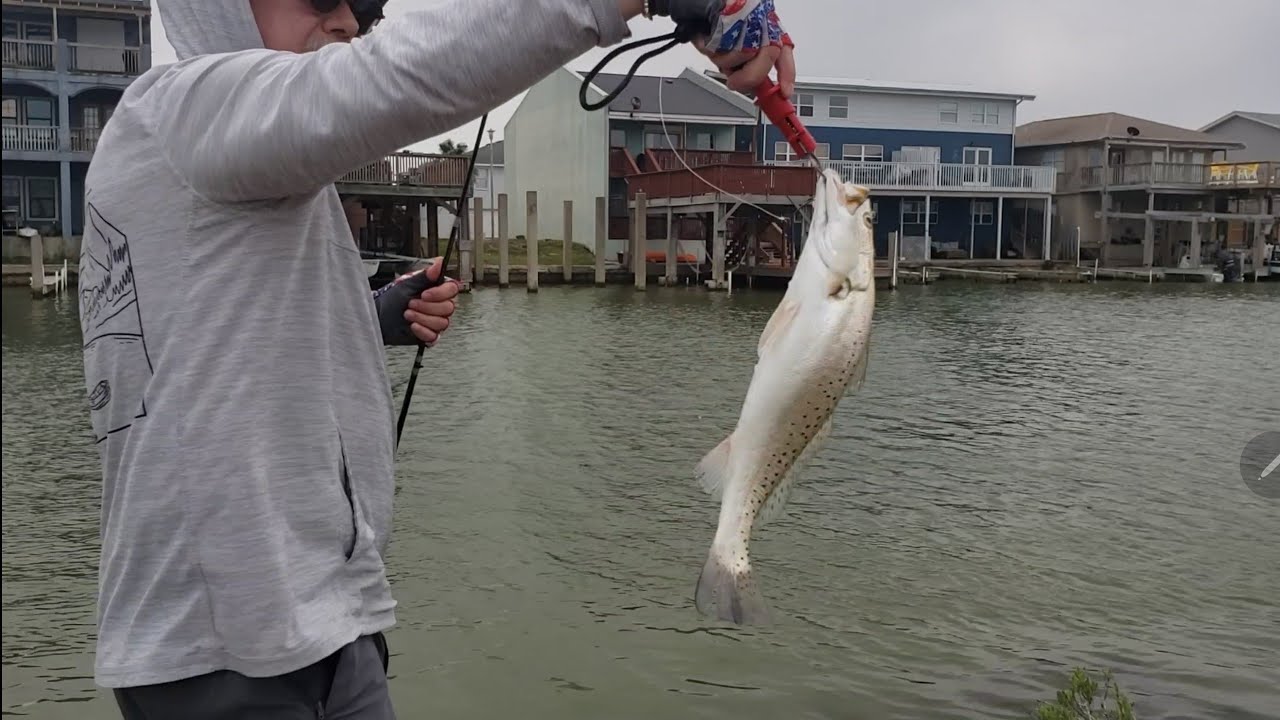 Port Isabel Canal Fishing