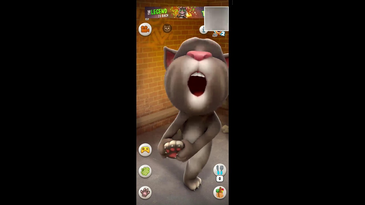 talking tom game