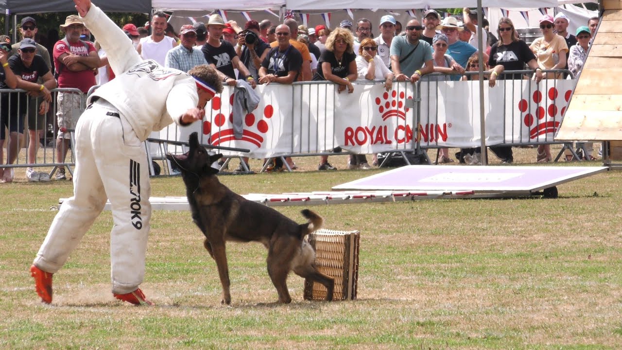French Ring 2023 Best of Aubigny