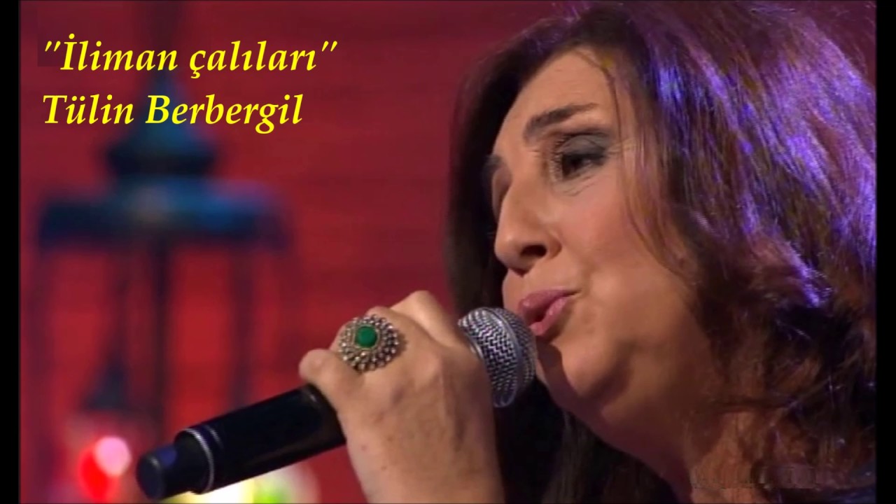 İliman çalıları - Tülin Berbergil