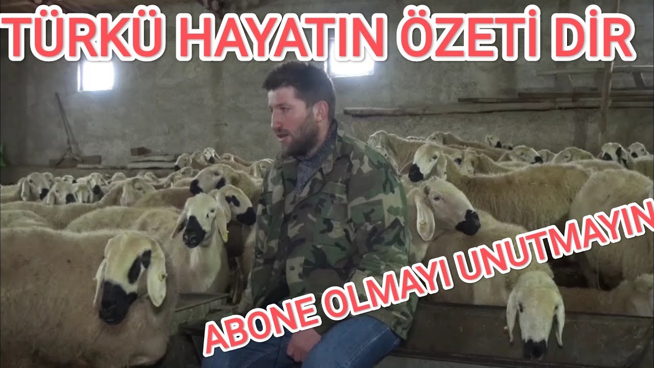 ELBET BİRGÜN BU KIŞ BİTER YAZ GELİR ( Türkülerin çobanı TARIK KARA)