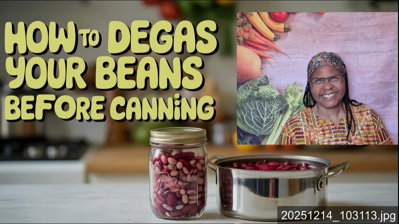 Pressure Canning Black Beans & Cranberry Beans (Degas for Better Digestion!)