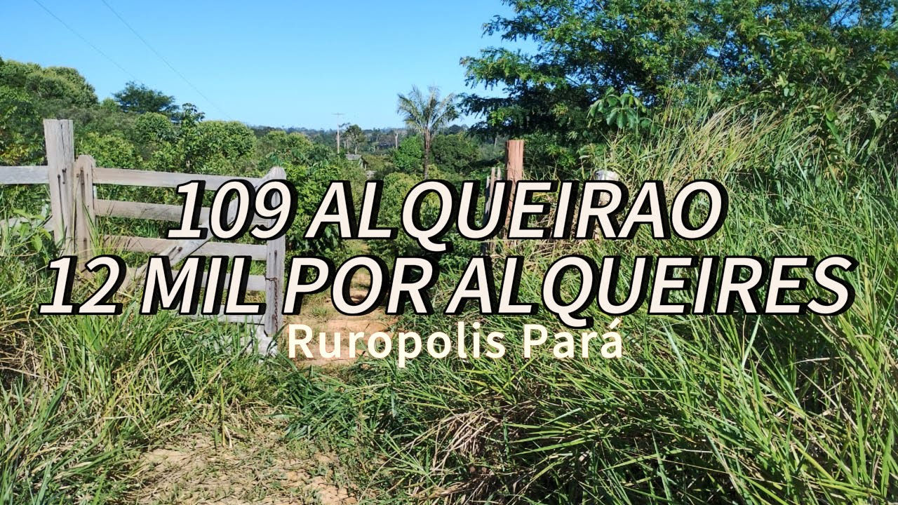 12 mil por alqueires é isso mesmo 😳mais de 500 hectares por 1.3 milhões 😳😱