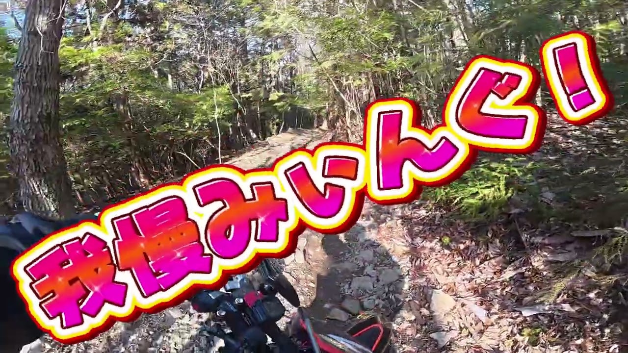 スタンディングと雪と腰強打と……