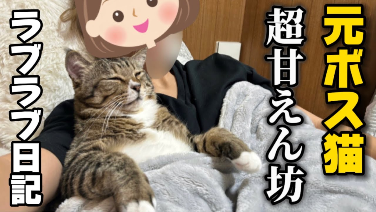 22歳一人暮らし。おっさん化が止まらない元ボス猫とのイチャラブ生活