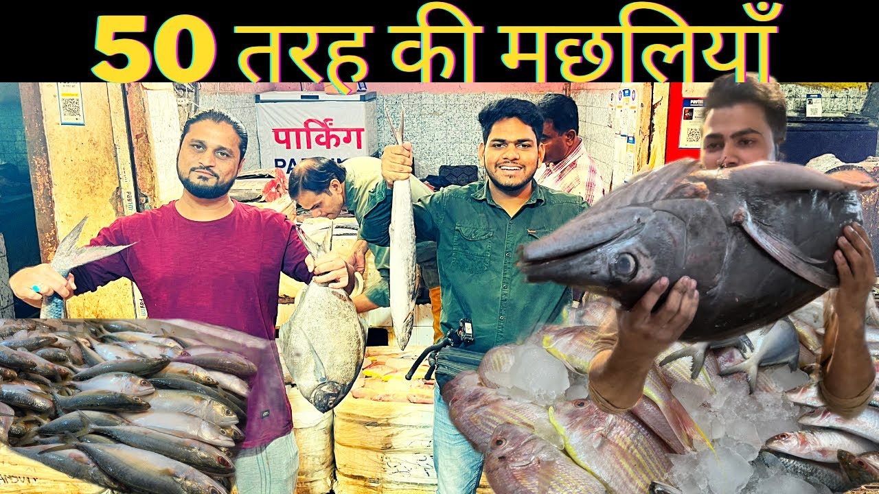 50 से ज़्यादा तरह की मछलियाँ || First Time In Fish Market || @jasvindrasingh