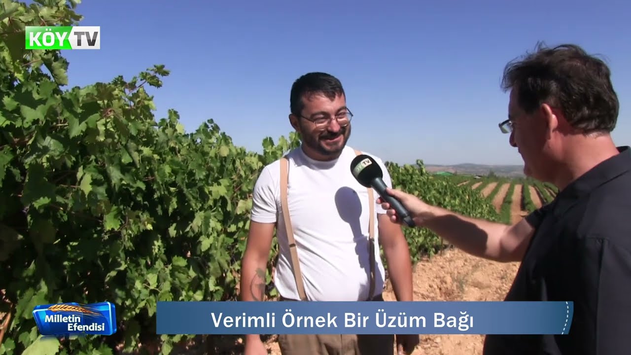 26. ÇAL BAĞ BOZUMU ŞENLİKLERİ