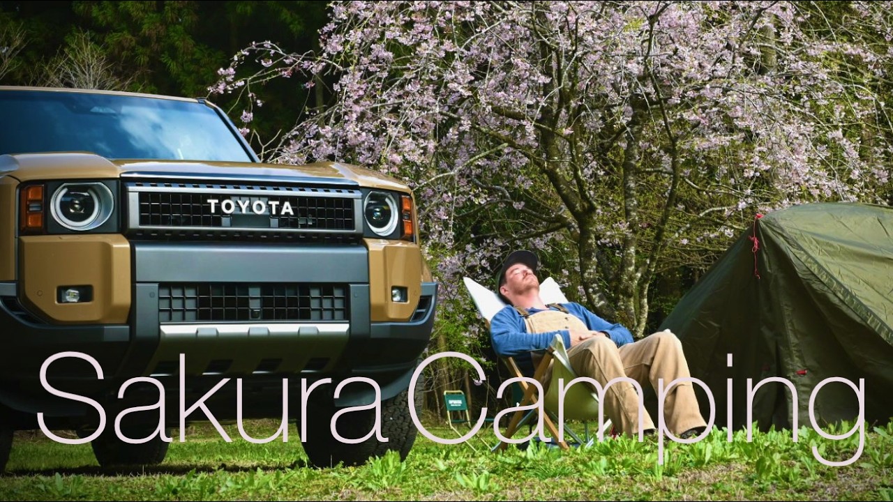 Sakura Solo Camping in Japanese Forest (ASMR)