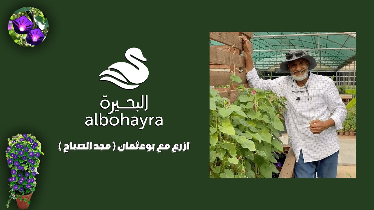 ازرع مع بوعثمان • مجد الصباح • 👨‍🌾🌿 | Albohayra