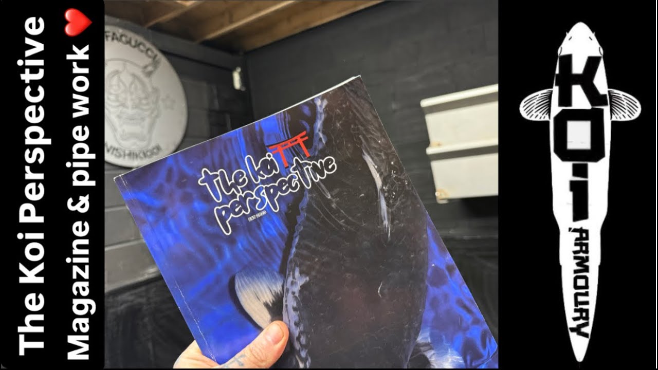 The Koi Perspective Magazine & a bit of pipe work ❤️