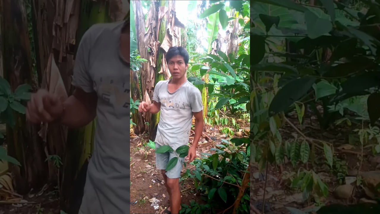 Mau ketawa takut dosa video lucu bikin ngakak hiburan warga +62 #funny #shorts #comedy #lucu