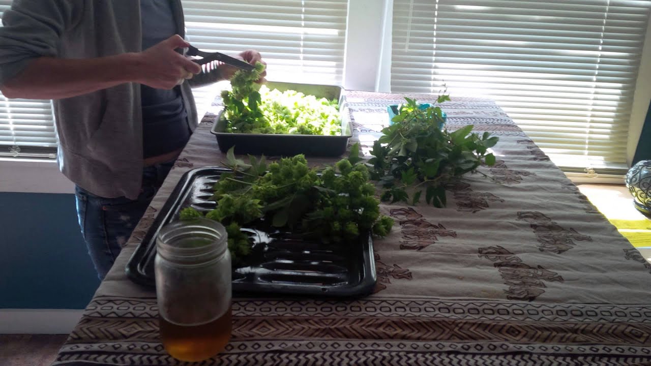 Make your own herbal tea. 