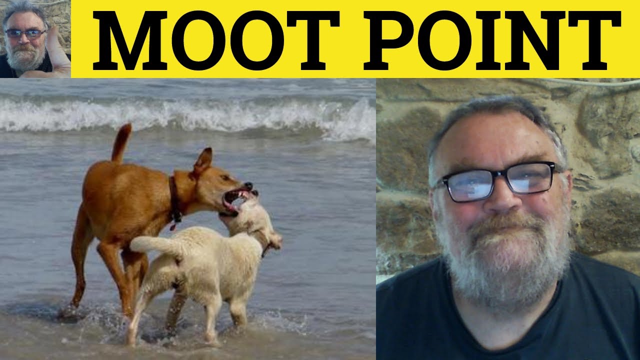 Moot Meaning - Moot Point Examples - Define Moot - Moot Definition - Moot Examples - Moot Means Moot