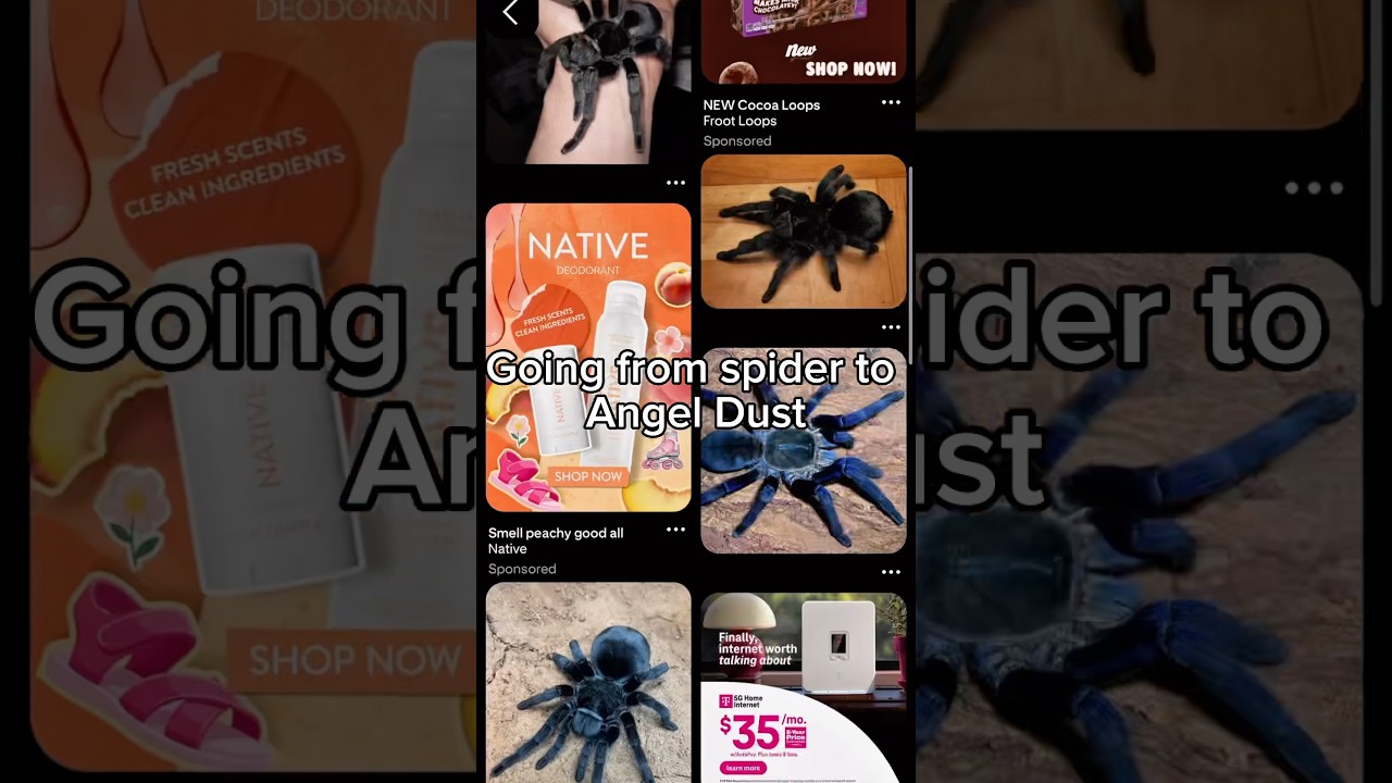 Три видео за один день 😱 #angeldust #hazbinhotel #pinterest #fyp #fypシ゚viral #viral