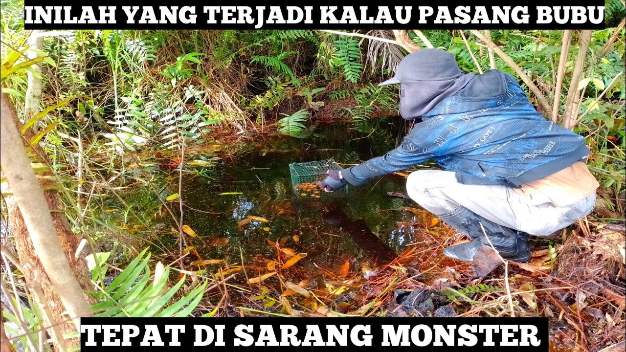 Pasang Bubu Lele Lembat Tepat Disarang MONSTER Penunggu Rawa Berair Hitam Hasilnya Bikin Tercengang!