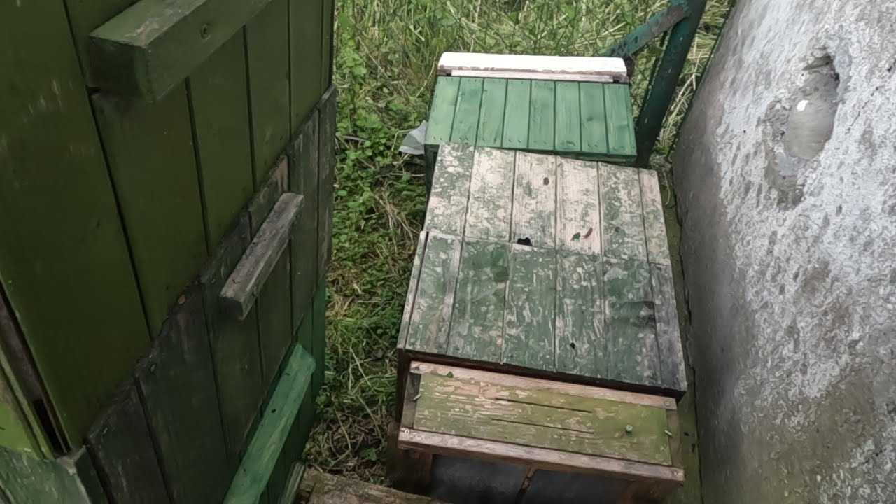 Przewrócony ul i  ślady po gradobiciu. Więcej miodu na drugiej pasiece!