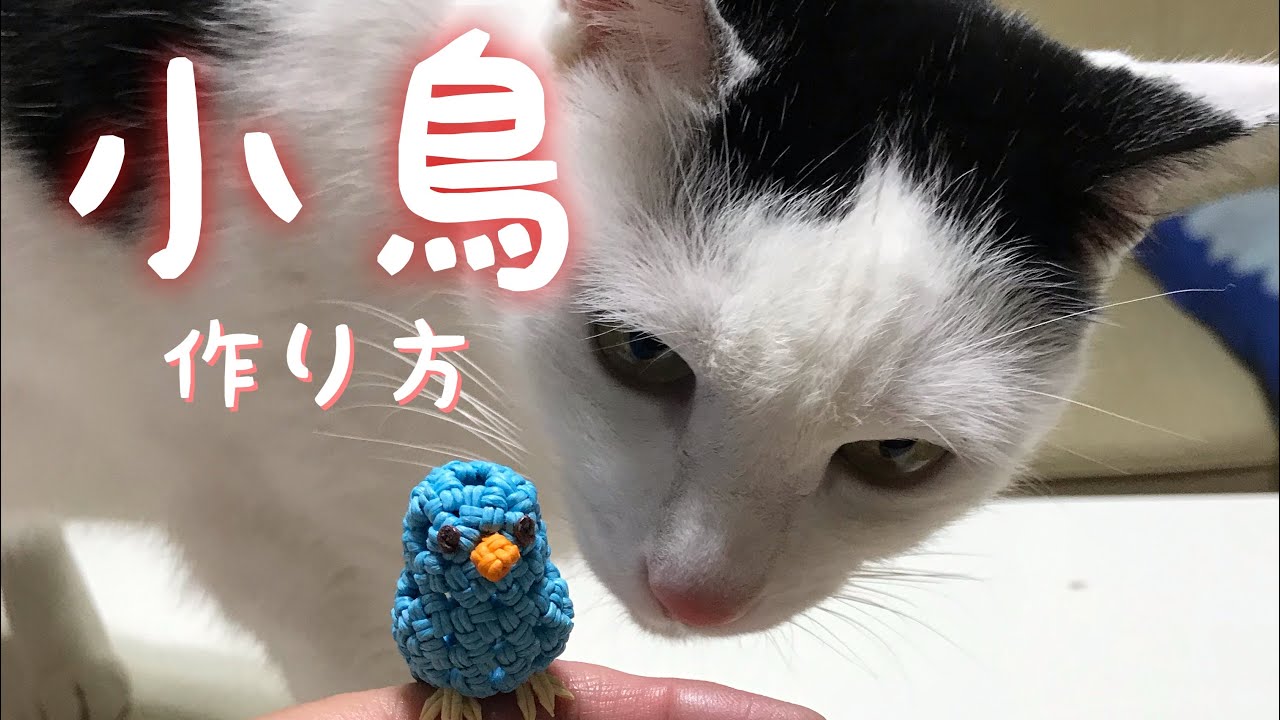 小鳥の作り方　エコクラフトで作る