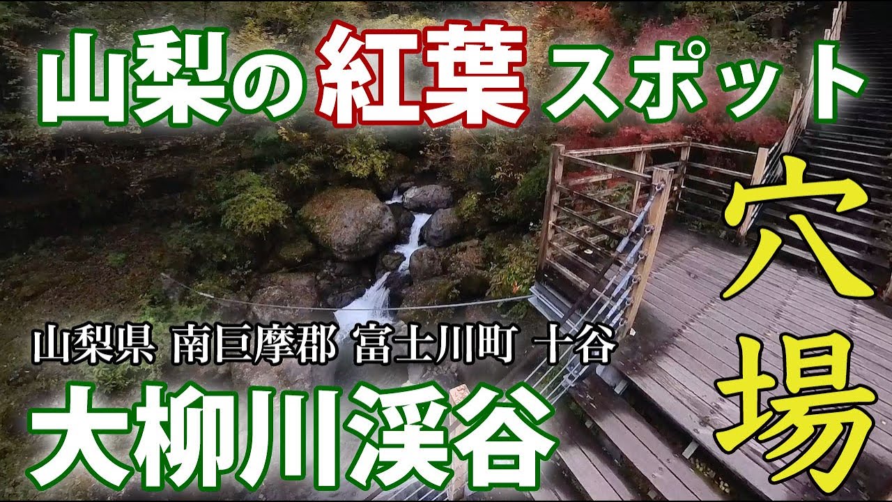 【山梨の紅葉スポット穴場】大柳川渓谷の吊り橋・滝・遊歩道・駐車場・トイレすべて見せます！