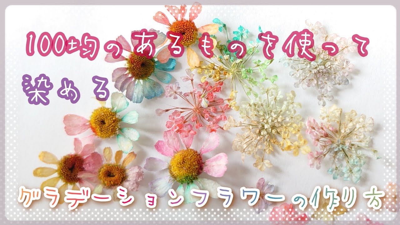 【rainbowflowers】レインボーカラーのドライフラワーの作り方【レジンやネイル封入に】