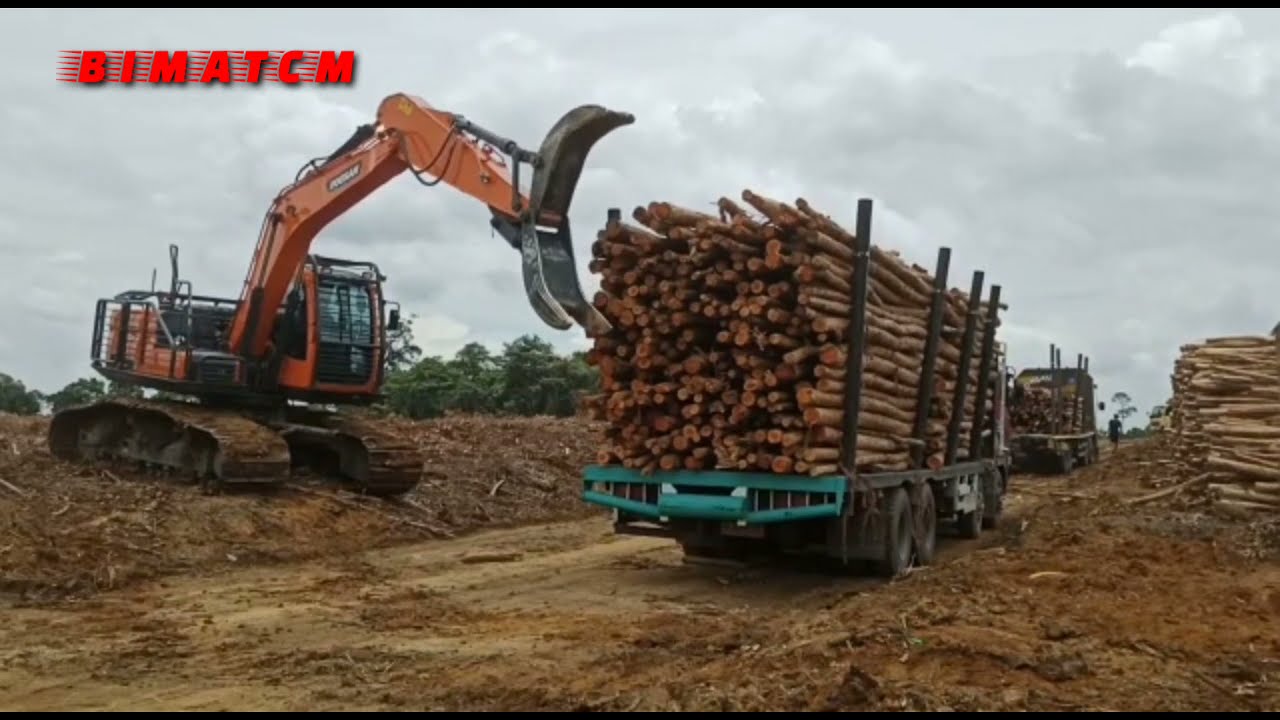Excavator Doosan DX140 AF with Log Grappel Attachment