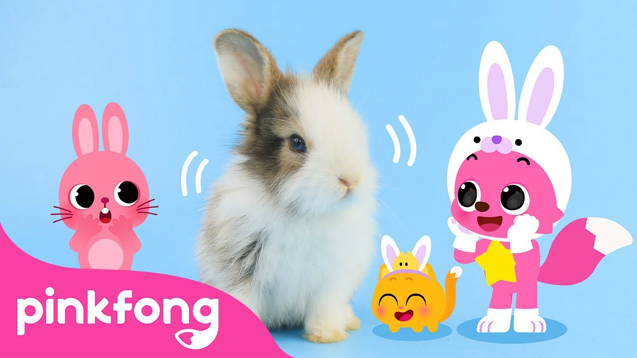 Baby Rabbits Jump! | Cute Rabbit Song | Baby Animals Song | Pinkfong Official for Kids