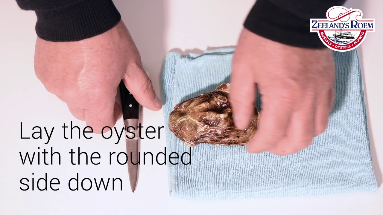 How to shuck an oyster?