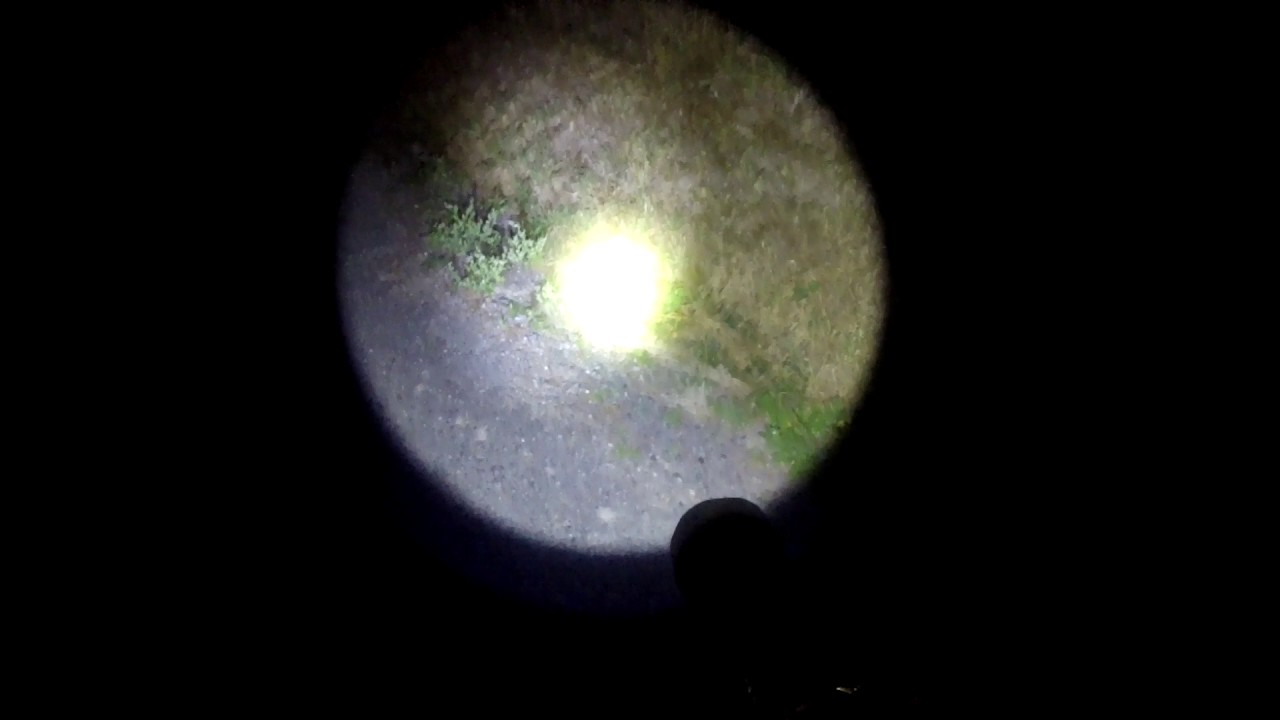 Maxtoch - M24 Blinding Rabbit