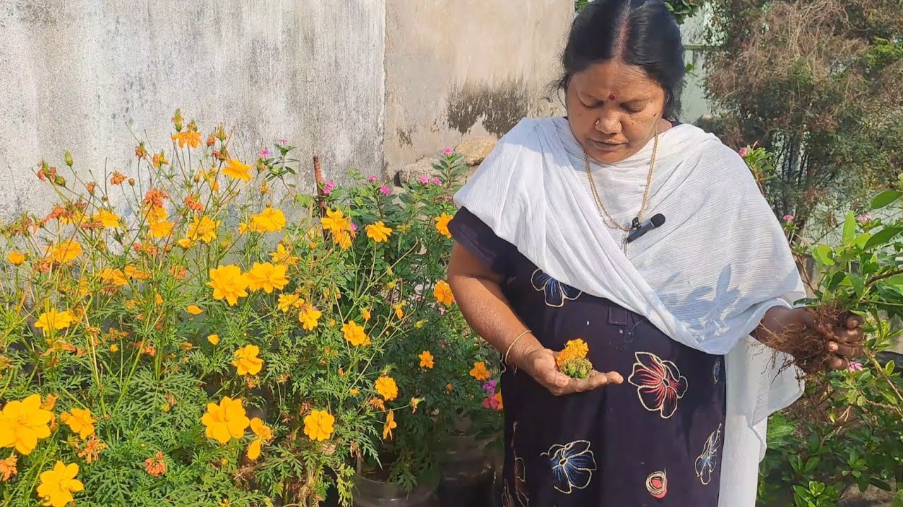 😀🌿🌹என்னென்ன விதைகள் விற்பனைக்கு உள்ளன?🌹🌿😀