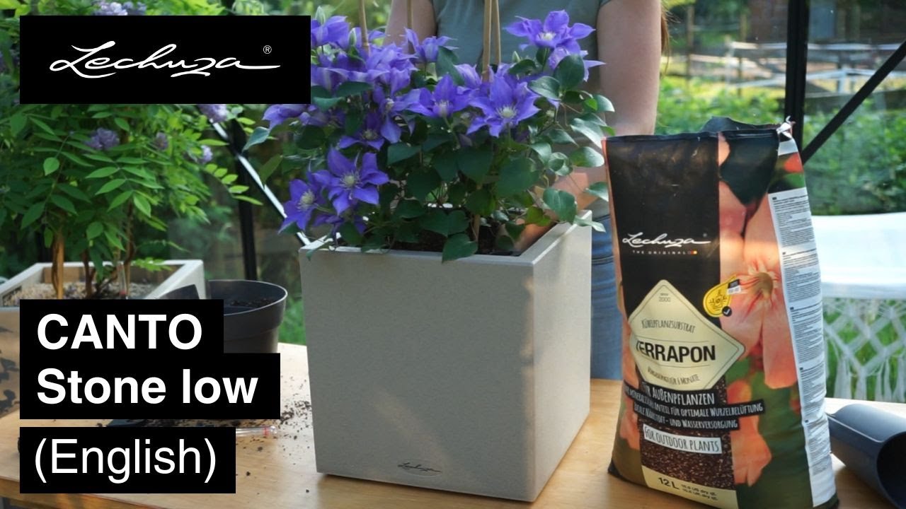 How-To: CANTO Stone low | LECHUZA | English