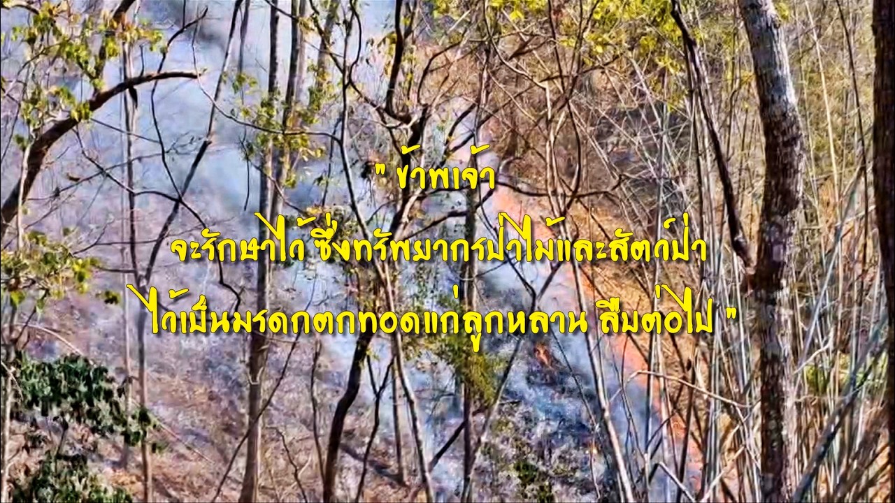 ศูนย์ปฏิบัติการไฟป่าพิษณุโลก สนับสนุนภารกิจการควบคุมไฟป่า พื้นที่เขตรักษาพันธุ์สัตว์ป่าน้ำปาด ฯ