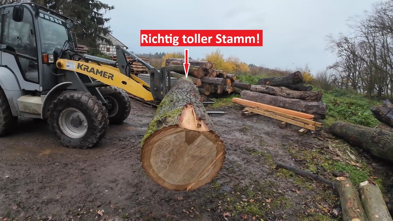 Große mega geile Eiche fürs Sägewerke! Stammholz poltern und super Pappelbohlen schneiden!