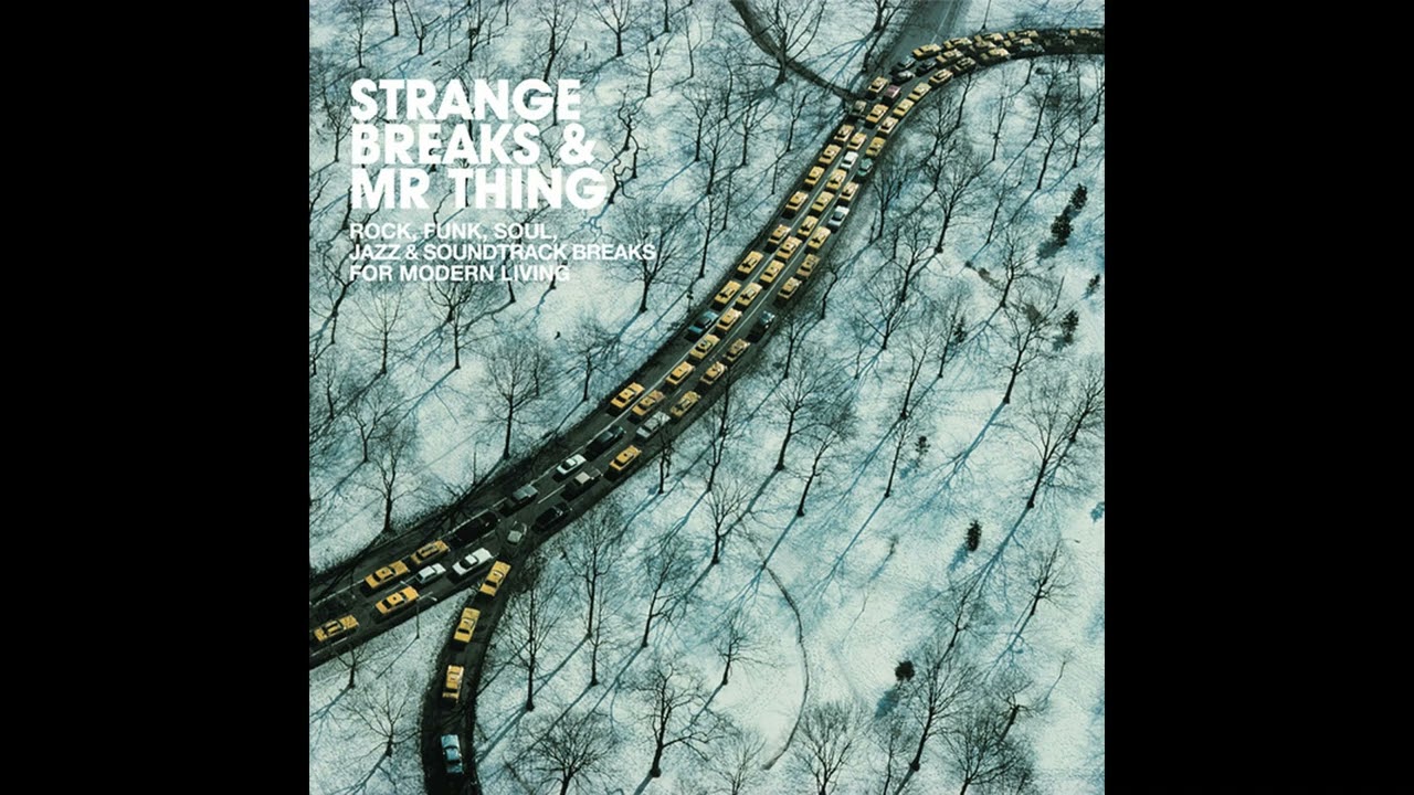 STRANGE BREAKS & MR THING (Mixed CD)