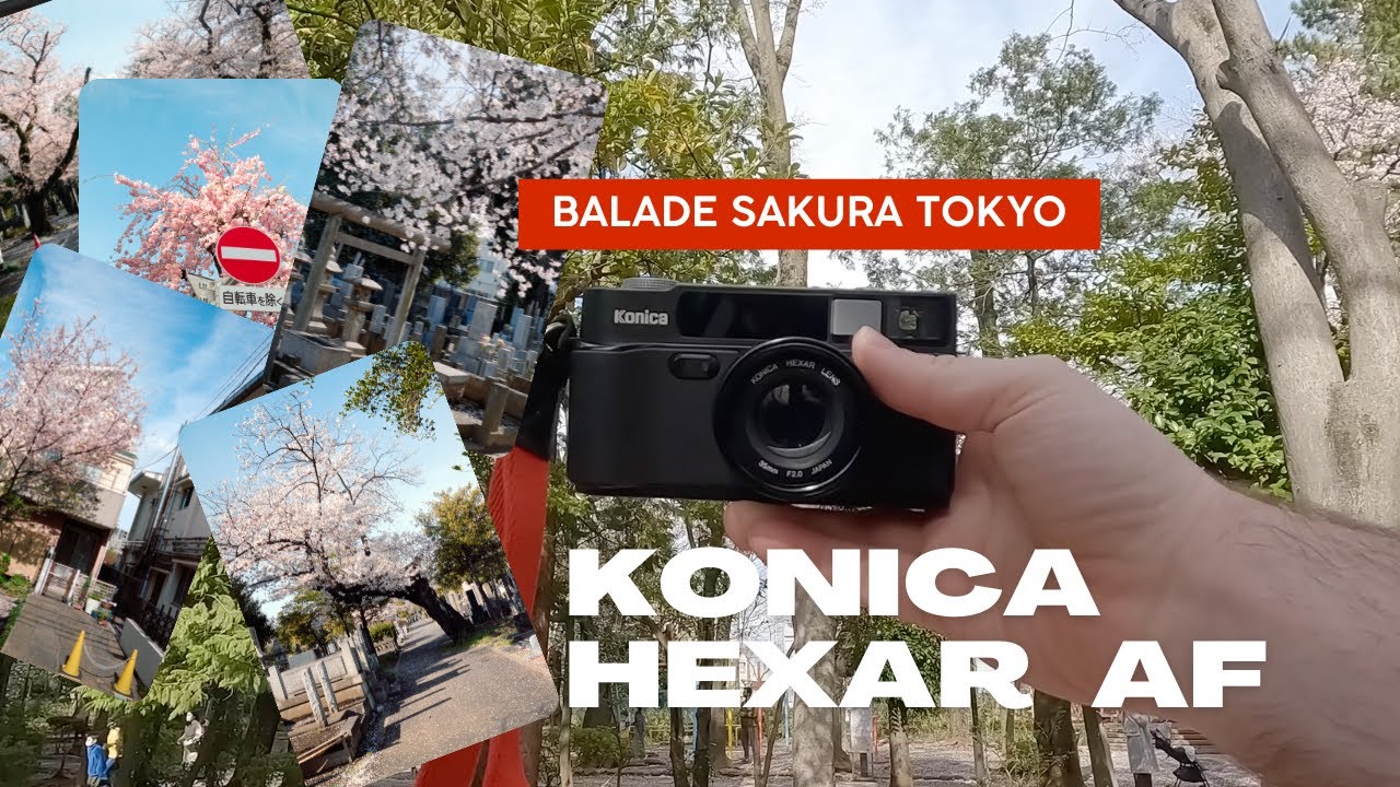Konica Hexar AF and Sakura