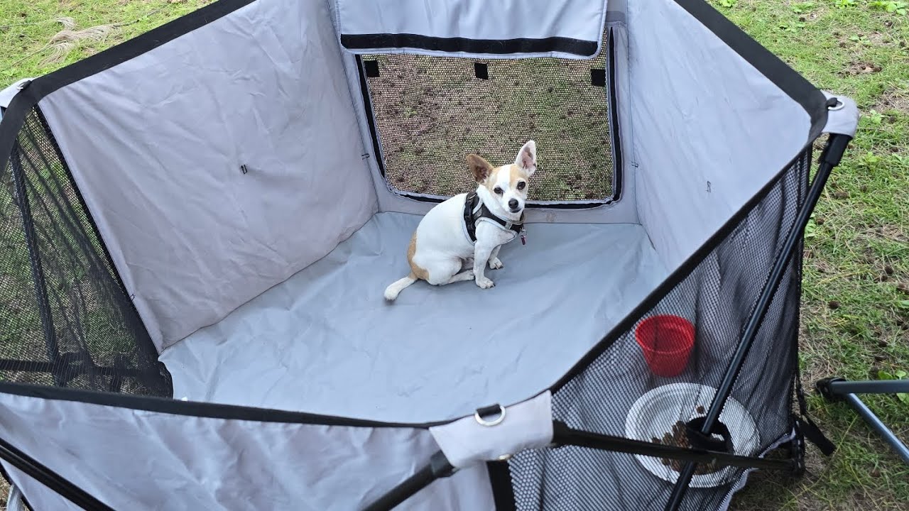 Highlights of our Valentine's Day camping 
