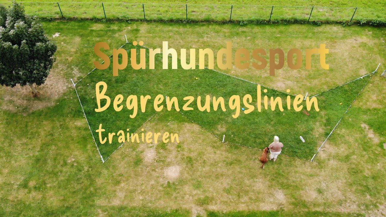 Spürhundesport Begrenzungslinien