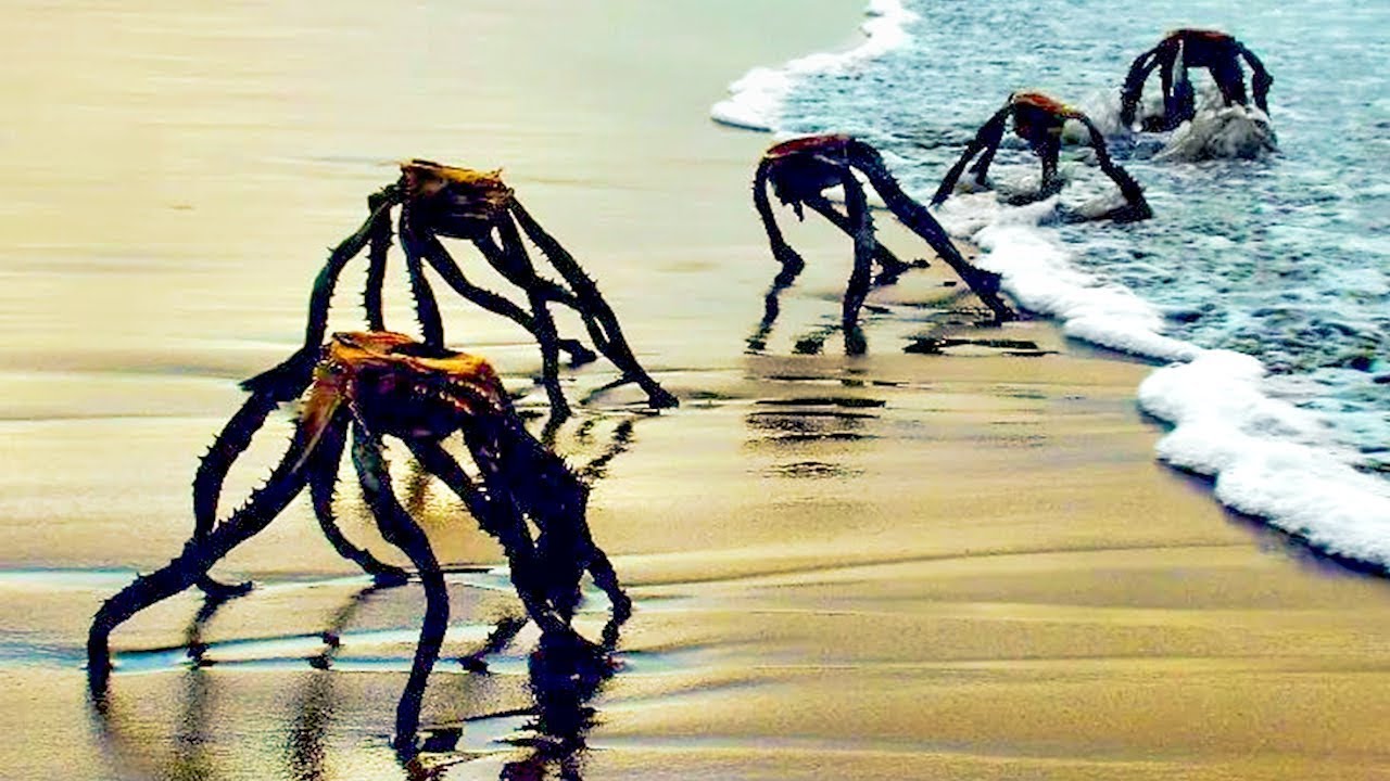 अगर समंदर तट पर ये घटनाएं कैप्चर नही होती तो कोई भी विश्वास नहीं करता। Beach Moments On Camera