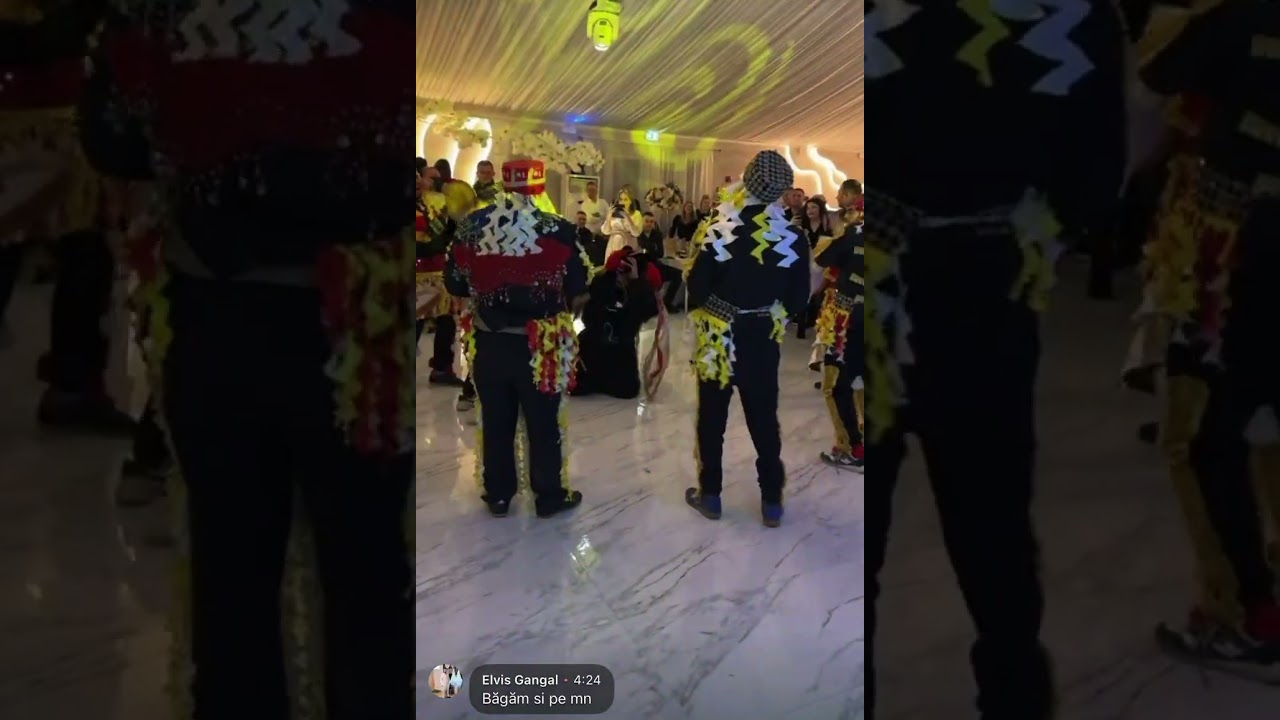 Ursul din Iași 2026
