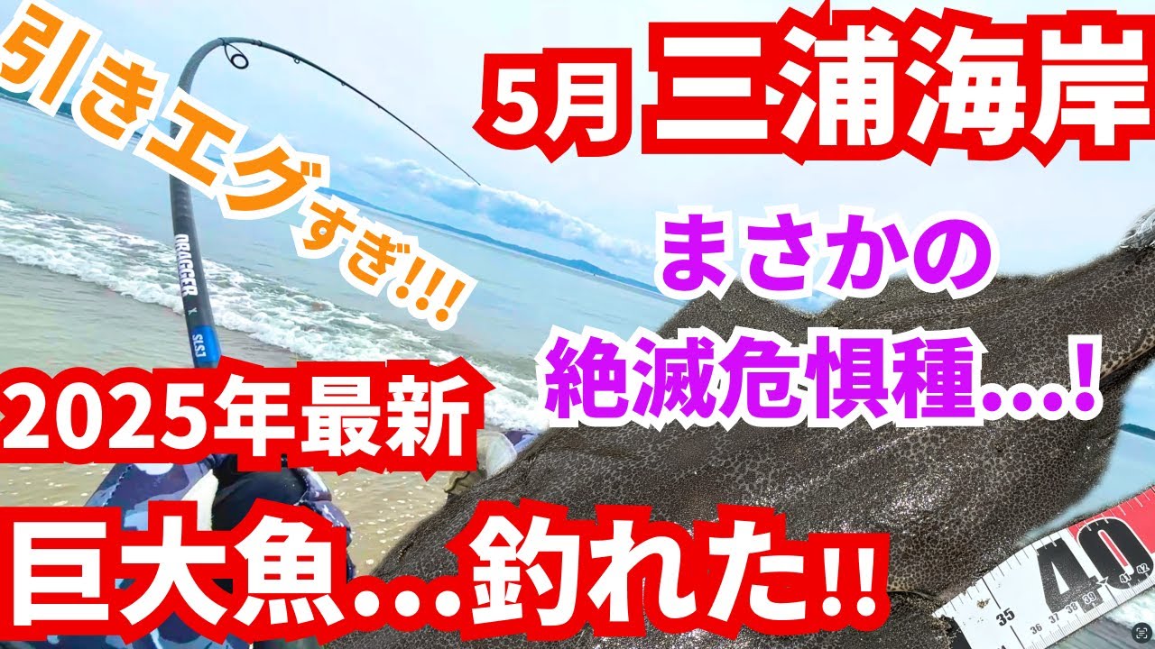 【引きヤバすぎ!!!】砂浜で釣りしてたらまさかの絶滅危惧種がヒット!!!!【大潮】ヒラメ・マゴチ狙い in 三浦海岸 ｜#vlog #釣り初心者 #オーバードライブ #神奈川 #三浦半島 #海釣り