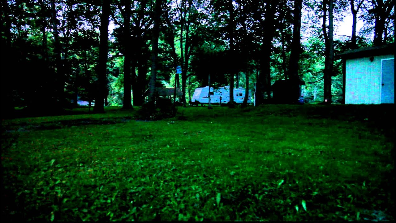 Fireflies in Northeast Ohio